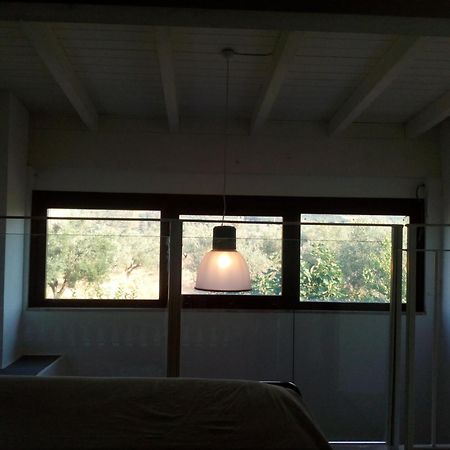 Agriturismo Piccolo Albero Loreto Aprutino Room photo